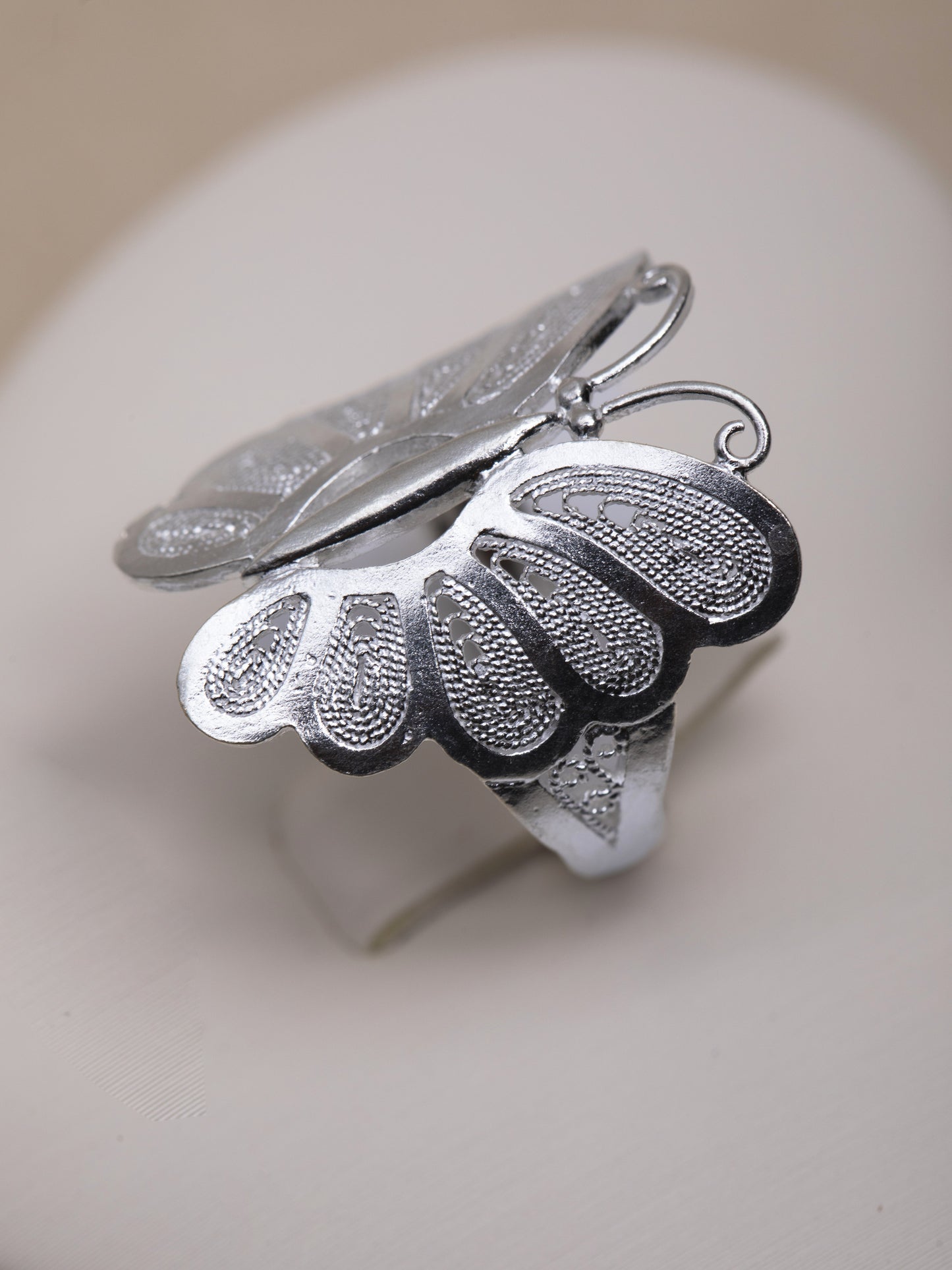 Vuelo de Mariposa