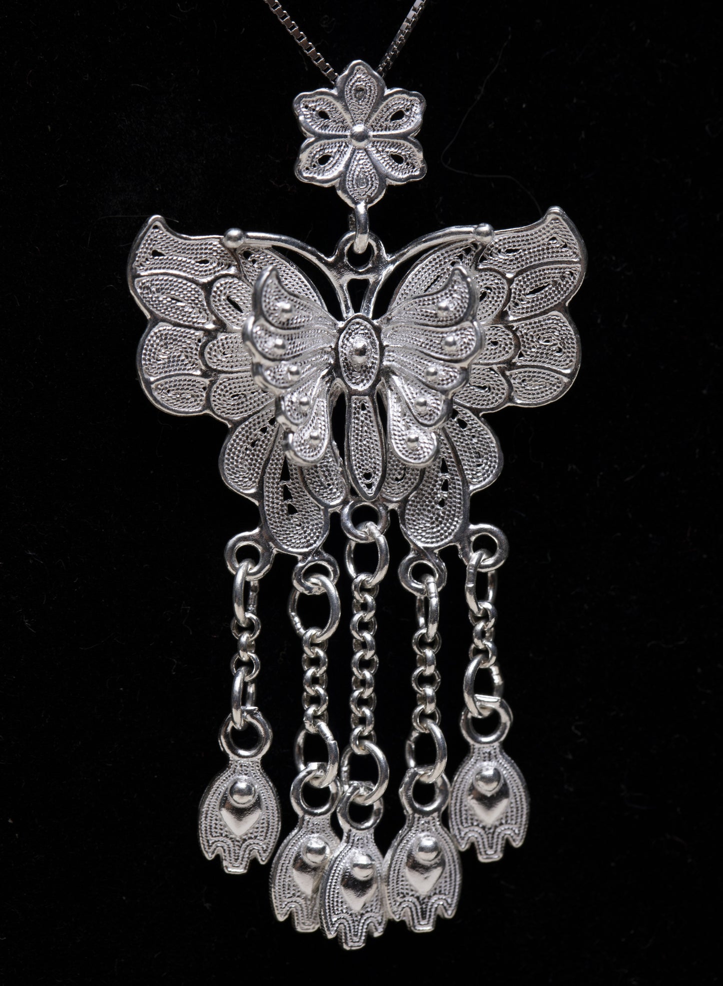 Mariposa de YueYin