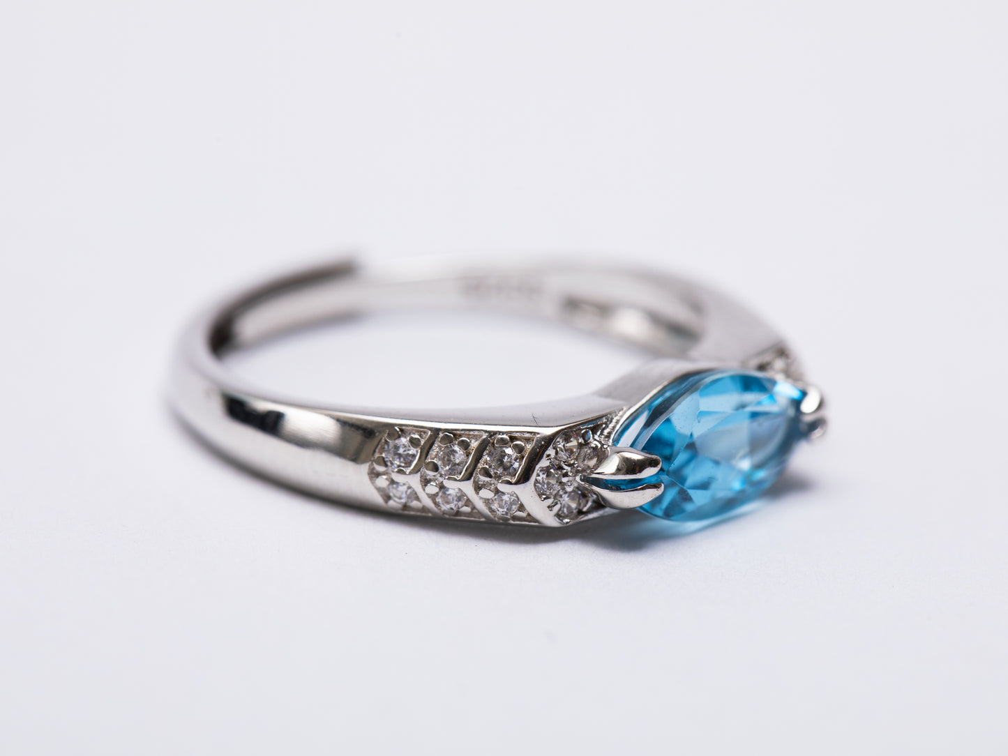 Anillo Lanma