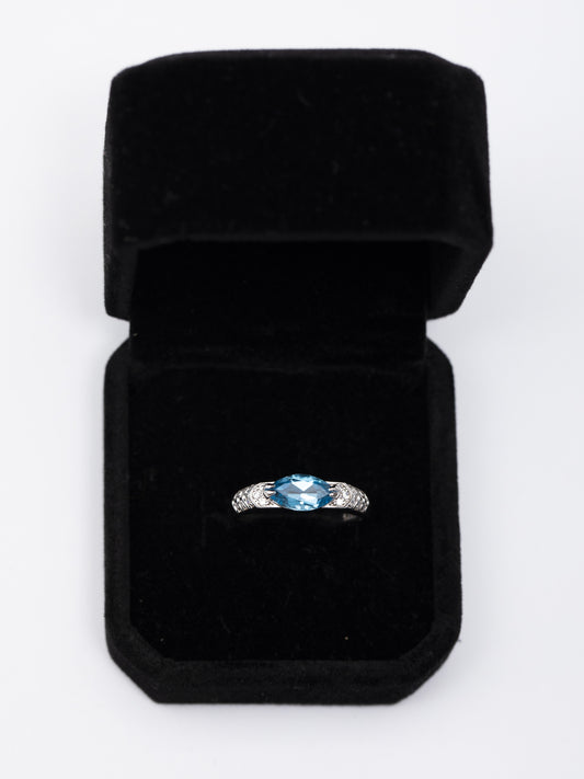 Anillo Lanma